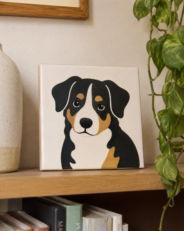Portrait d’animal de compagnie, vue 3
